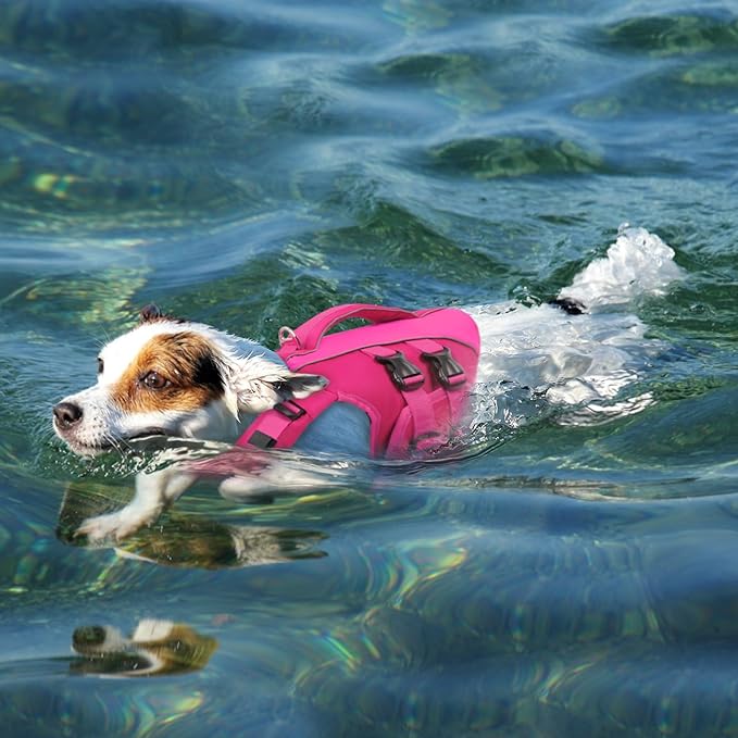 Queenmore Small Dog Life Jacket,Small Dog Life Vest for Swimming,Adjustable Reflective Dogs Swimming Vest,High Buoyancy Dogs Lifesaver,Pet Life Preserver(Rosered,S)
