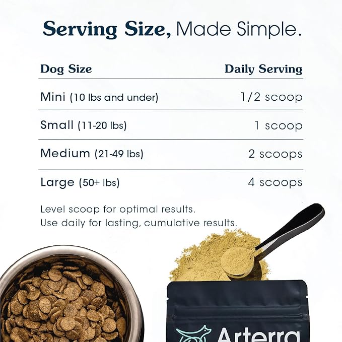 Senior Dog Powder Supplement & Food Topper – 63 Ingredients for Joint, Gut, Immune & Brain Health – Daily Longevity Multivitamin with Glucosamine, Probiotics, and Fish Oil | 30 Scoops