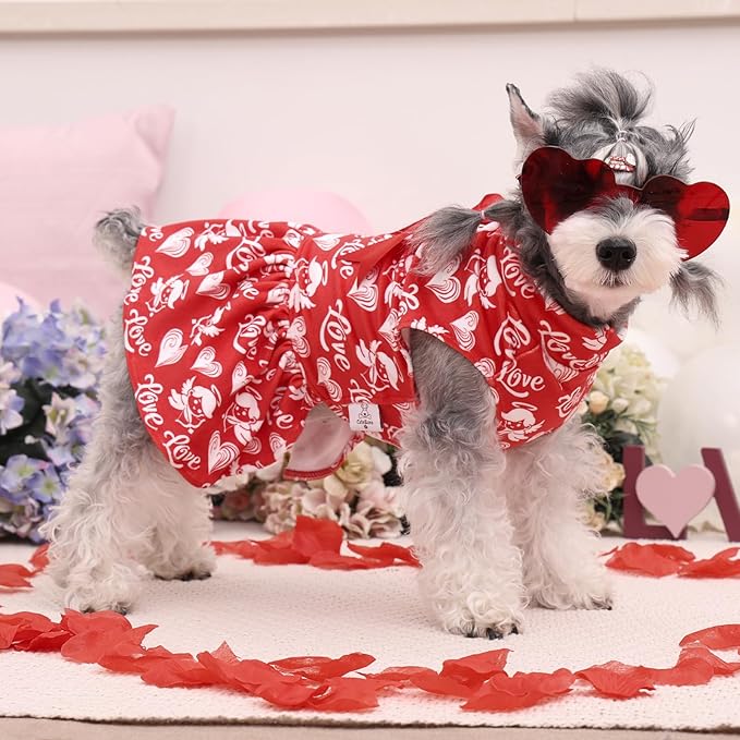 CuteBone Turtleneck Dog Velvet Dress Valentine's Day Puppy Skirt Costume Pet Clothes Cat Apparel with Bow Hair Rope for Small Dogs CVD19M