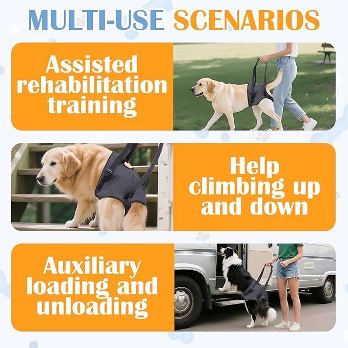 Dog Support Harness for Back Legs, Adjustable Rear Hind Leg Sling for Medium & Large Senior Dogs