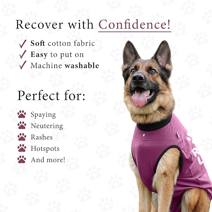 BellyGuard Dog Surgery Recovery Suit, Dog Onesie for Post-Op Care, Recovery Apparel for Female and Male, Surgical Body Cover for Canine Healing Support