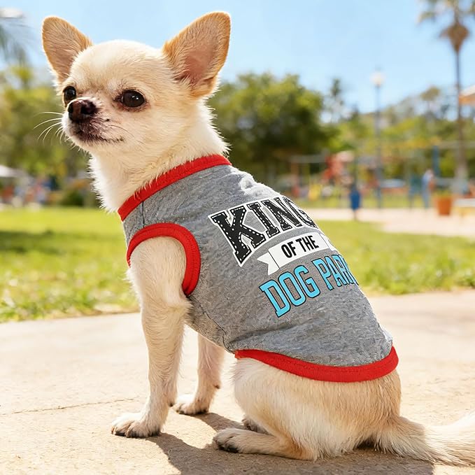 4 Pieces Dog Clothes for Small Dogs Boy Dog Shirt Puppy Clothes for Chihuahua Yorkie Soft Cute Pattern Pet Cat Clothing Black Grey Red Green XXS~M (XXSmall)