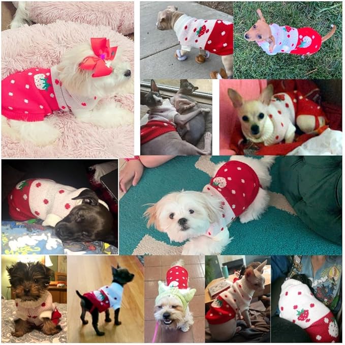 CHBORCHICEN Pet Dog Sweaters Classic Knitwear Turtleneck Winter Warm Puppy Clothing Cute Strawberry and Heart Doggie Sweater (Red1, Small)