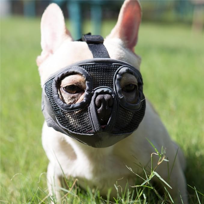 Short Snout Dog Muzzles- Adjustable Breathable Mesh Bulldog Muzzle for Biting Chewing Licking Training Grooming Dog Mask (Grey(Eyehole), Large/15-25")