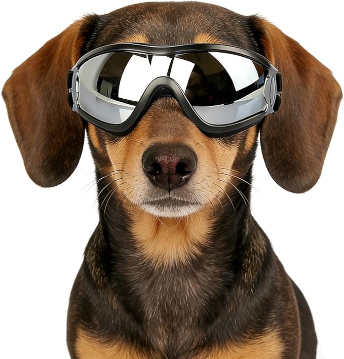 NAMSAN Dog Goggles Small Breed, Anti-UV Sunglasses for Dogs Small Breeds, Windproof Driving Dog Eye Protection, Puppy Glasses with Elastic Straps, Adjustable, Black