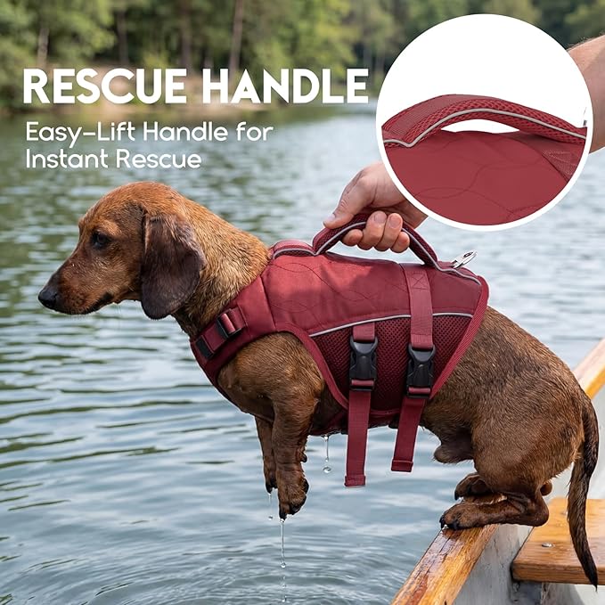 ASENKU Dog Life Jacket, High Floatation Dog Swimming Vest with Rescue Handles for Small Medium Large Dogs, Pet Safety Swimsuit Preserver for Pool Beach Boating (WineRed, 2XL)