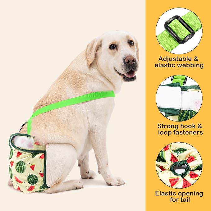 Avont 3 Pack Washable Female Dog Diaper with Suspender, Reusable Girl Doggie Diapers for Small Medium Large Doggy in Heat Cycle Period Incontinence