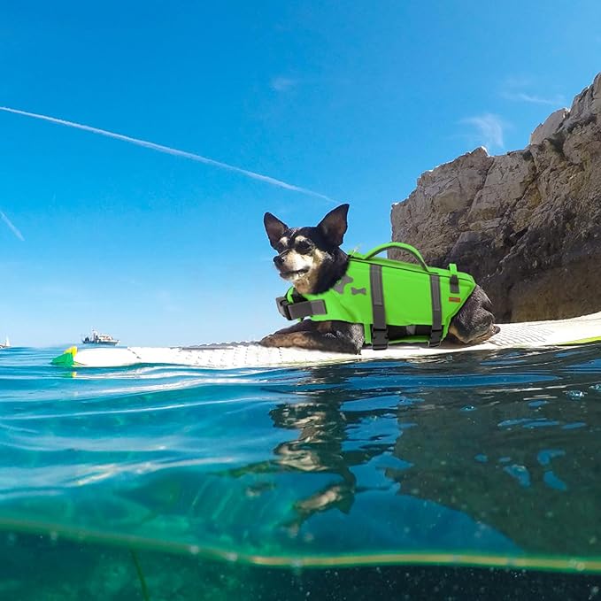 EMUST Dog Life Preserver, Pet Life Vests for Swimming, Beach Boating with High Buoyancy, Dog Flotation Vest for Small/Medium/Large Dogs, L, NewGreen