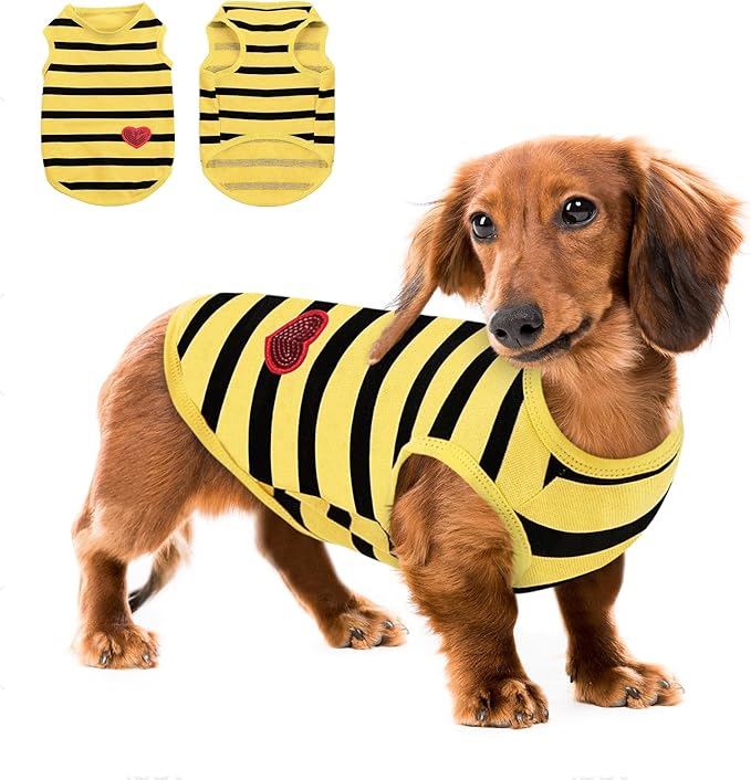 Queenmore Large Dog Shirt,Soft Breathable Dog Shirt for Dogs Cats Boy Girl,Pet Clothes for All Season,Breathable Lightweight Pet Tshirt for Frenchie, Dachshund, Yorkie