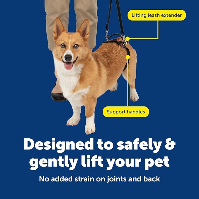 PetSafe CareLift Rear Support Harness - Senior & Disabled Dog Rear Mobility Support - Easy-Fitting, Breathable Belly Straps with Lifting Aid Handle - For Small Dogs 7-35 lb