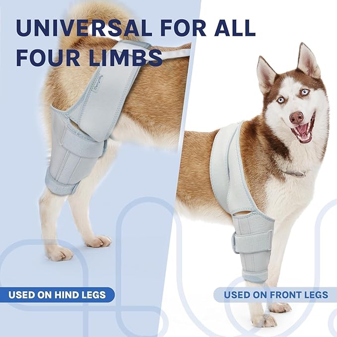 Dog Knee Brace for Torn ACL & Hind Leg Support – Adjustable Dog Hip & Leg Brace for Cruciate Ligament, Arthritis Relief, Joint Stability & Injury Recovery, Color: Silver, Size: 2X-Large