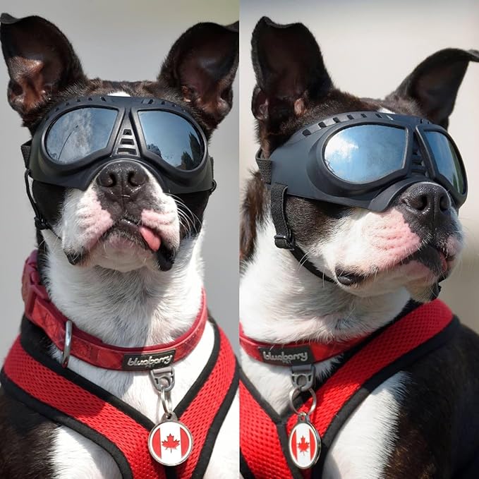 Namsan Dog Goggles Small Breed, Wide Snout & Soft Frame, Tactical Driving Sunglasses for Dogs Small to Medium Breed, Anti-UV Dog Eye Protection, Windproof Dustproof, Adjustable, Silver Lens