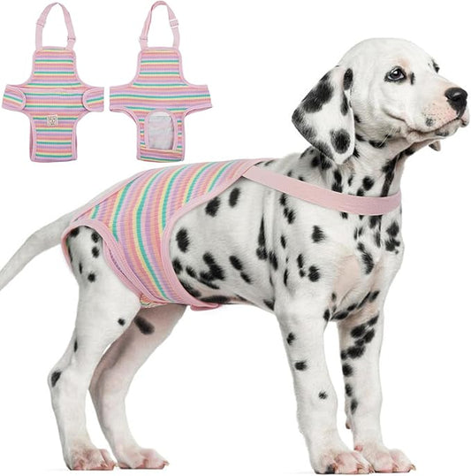 Pet Diaper Suspenders - Washable Sanitary Panties with Adjustable Straps, Female Dog Period Onesie, Breathable Jumpsuit (Rainbow Pattern, XL)