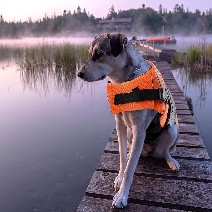 Dog Life Jacket Swimming Vest Lightweight High Reflective Pet Lifesaver with Lift Handle, Leash Ring Orange,XS