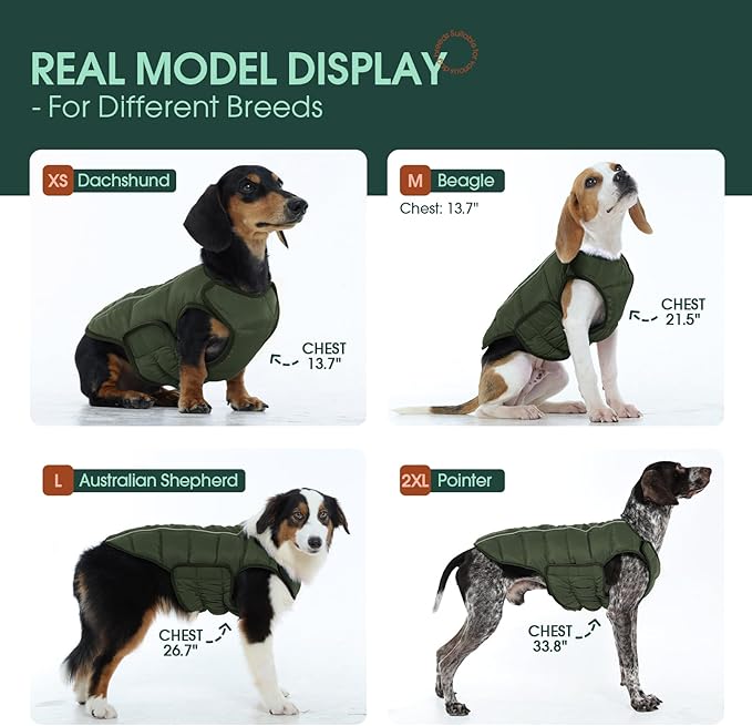 Kuoser Dog Puffer Jacket Warm Dog Coat for Small Dogs, Windproof Reflective Pet Padded Vest Cold Weather Clothes Puppy Snowsuit with Hook & Loop Coats, Easy On/Off, Green S