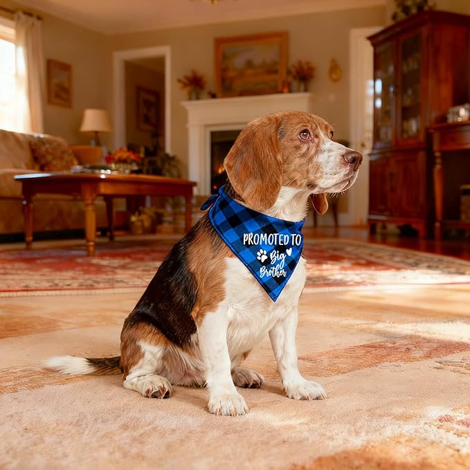 Family Kitchen Promoted to Big Brother Blue Plaid Dog Bandana, Gender Reveal Photo Prop Triangle Pet Scarf Scarves Decorations Accessories, Pet Scarves Dog Lovers Gift