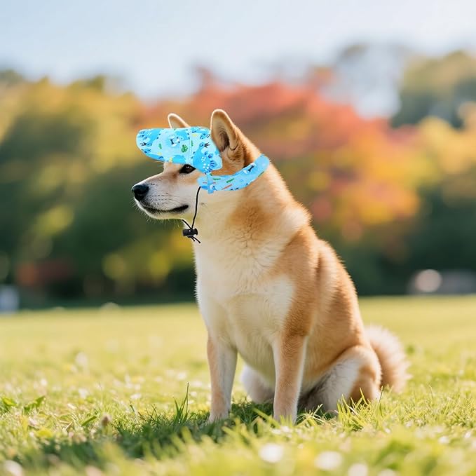 Dinosaurs Sun Hats for Small Medium Dogs Blue Dino Dog Baseball Cap Dog Trucker Hats with Ear Holes M