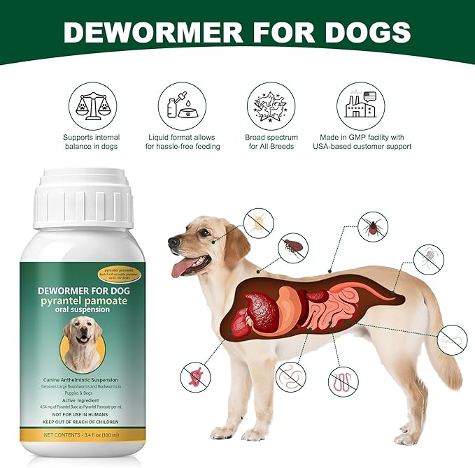 Dog Dewormer Liquid for Large Dogs for All wormers – Pyrantel Pamoate for Roundworms & Hookworms, 100 mL (3.4 fl oz) ﻿