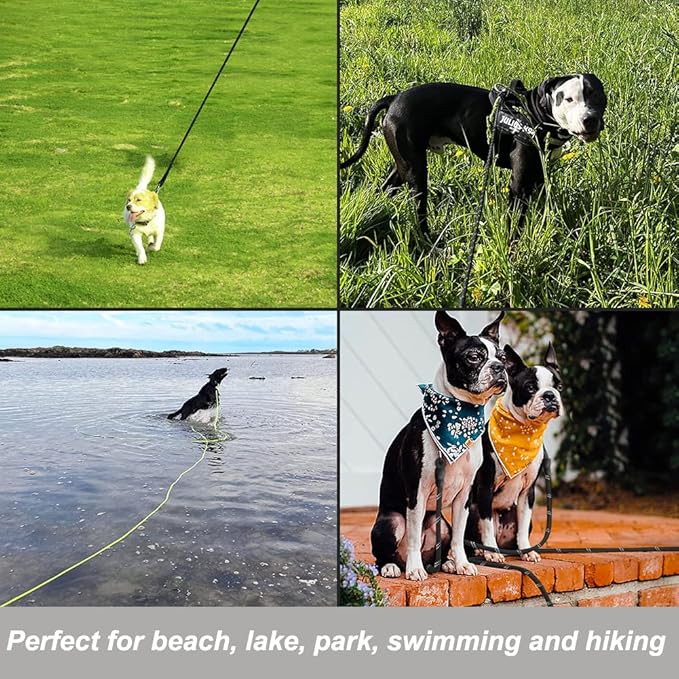 Vivifying Long Dog Leash, 32ft Reflective Dog Training Leash for Outside and Yard, Floating Long Line Lead with Soft Handle for Camping, Hiking, Swimming and Beach (Black)