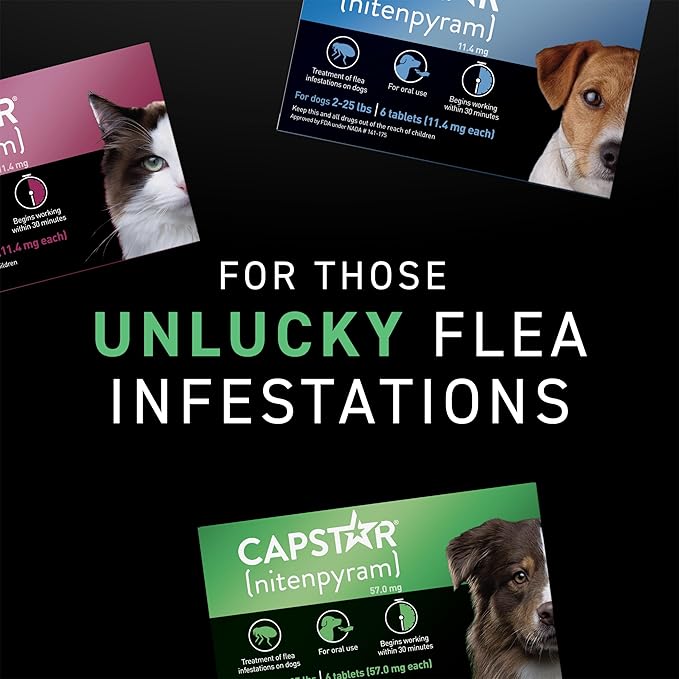 Capstar for Dogs (nitenpyram), Fast-Acting Oral Flea Treatment for Dogs Over 25+ lbs, Vet-Recommended Flea Medication Tablets Start Killing in 30 Minutes, 12 Doses (Includes Two 6-Count Boxes)