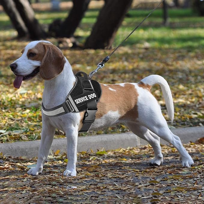 JSXD Dog Harness,No-Pull Service Dog Harness with Handle Adjustable Outdoor Pet Dog Vest 3M Reflective Nylon Material Vest for Breeds,Easy Control for Small Medium Large Dogs, XS, Black