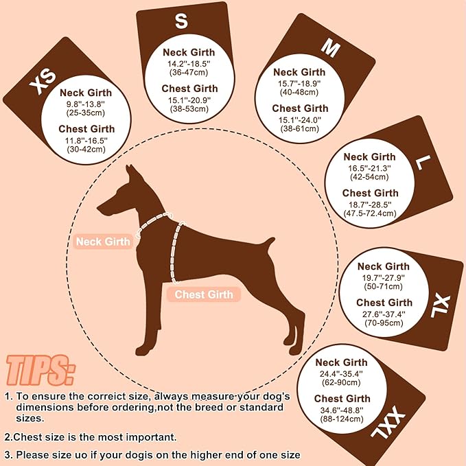 EMUST Pet Life Jackets, Dog Life Vests for Swimming, Beach Boating with High Buoyancy, Dog Flotation Vest for Small/Medium/Large Dogs, S, NewOrange
