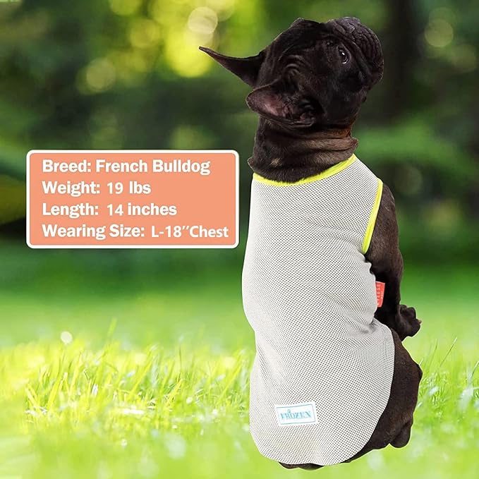 KYEESE 2Pack Dog Cooling Shirt, Breathable Dog Shirt for Small Dogs, Sun Protection Dogs Cooling Vest Tank Top, Lightweight Soft Sleeveless Summer Puppy Clothes, Boat+Ice Cream, S
