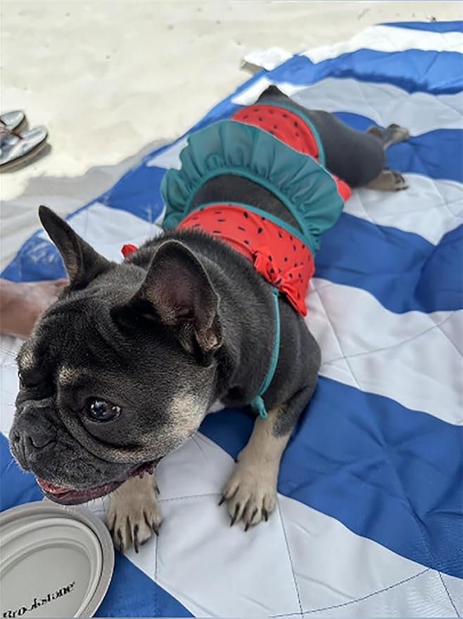 Funny Dog Swimwear Bikini Summer Dog Clothes Beach Swimsuit Puppy Bathing Suit Puppy Vest Cooling Pet Shirt for Small Dogs, Cat Apparel (Watermelon, Large)