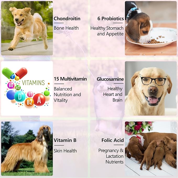 15-in-1 Dog Multivitamin Drops for Dogs | Liquid Multivitamin with Glucosamine, MSM & Omega for Joint, Heart, Immune & Skin Health | Easy Liquid Drops for Picky Eaters