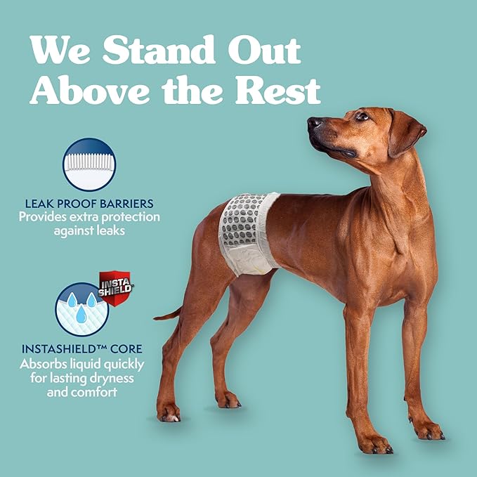 Simple Solution Disposable Male Wraps, Absorbent Leak Proof Belly Bands for Dogs, Incontinence Aid, Puppy Training, Marking Control, and Travel Protection, Large Dogs, 18–27 Inch Waist, 30 Count