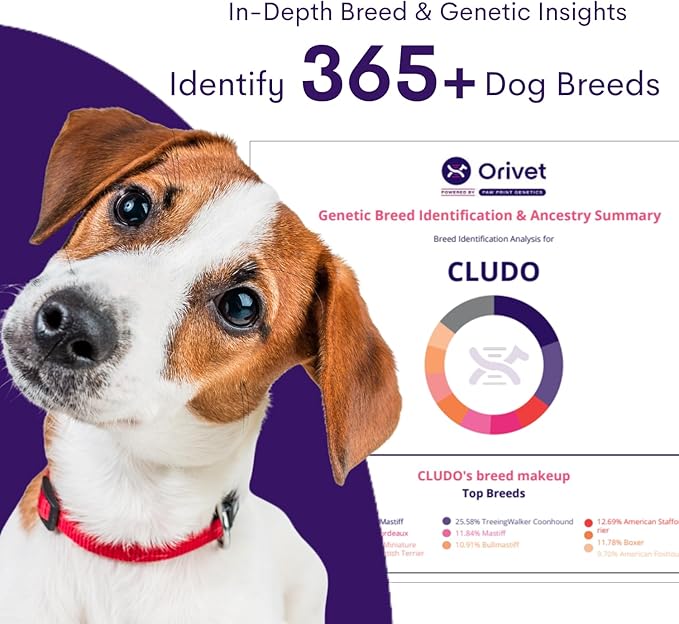 ORIVET Dog DNA Test Kit – Comprehensive Dog DNA Test Kit for Over 330+ Breed Identification | At Home Dog DNA Kit with Canine Genetic Testing & Life Plan Genopet
