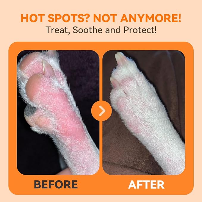 Hot Spot and Wound Spray for Dogs - Advanced Anti Itch Spray, Evidence-Based Dog Hot Spot Treatment & Itch Relief with Nano-Silver, Lick-Safe, 8oz