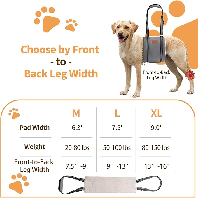 Dog Lift Harness for Large Dogs, Adjustable Comfortable Dog Sling with Handle, Knee & Rear Leg Support for Torn ACL Rehabilitation, Weak Rear Legs, Helps Senior, Disabled Canines(Grey,L)