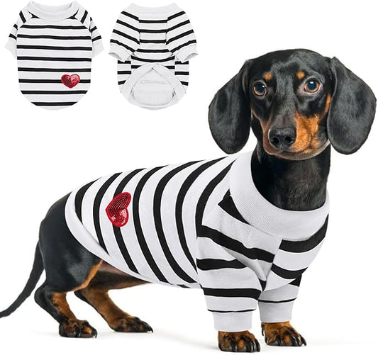 Queenmore Small Dog Shirt,Soft Breathable Dog Shirt for Dogs Cats Boy Girl,Pet Clothes for All Season,Breathable Lightweight Pet Tshirt for Frenchie, Dachshund, Yorkie