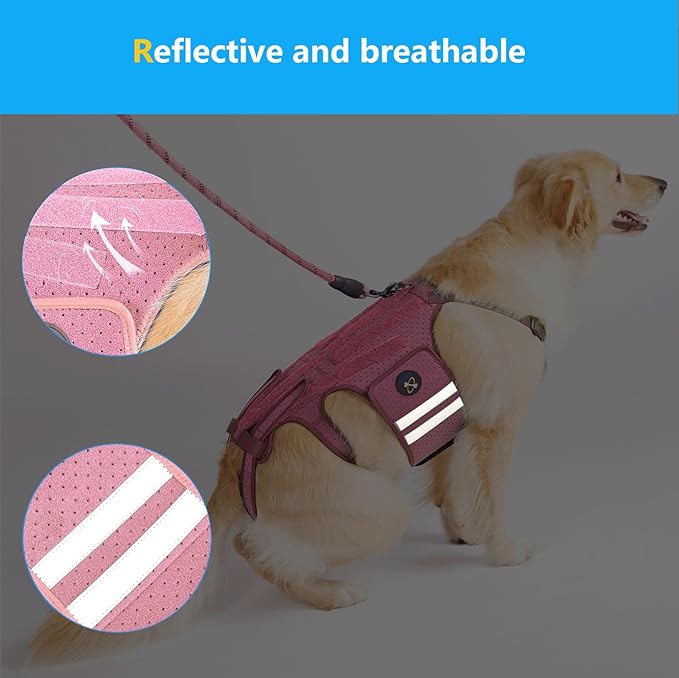Coodeo Dog Back Brace for Dogs Arthritis, Pet Back Bracer for IVDD, Back Protector Helps Pain Relief, Surgical Recovery and Rehabilitation, Dogs Back Disease Prevention. (Pink,X-Large)