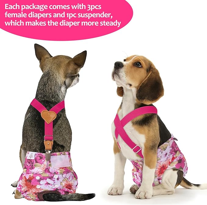 CuteBone Dog Diapers Female 3 Pack Reusable Doggy Diapers with One Suspender for Small Medium Large Dog Period BDD02S