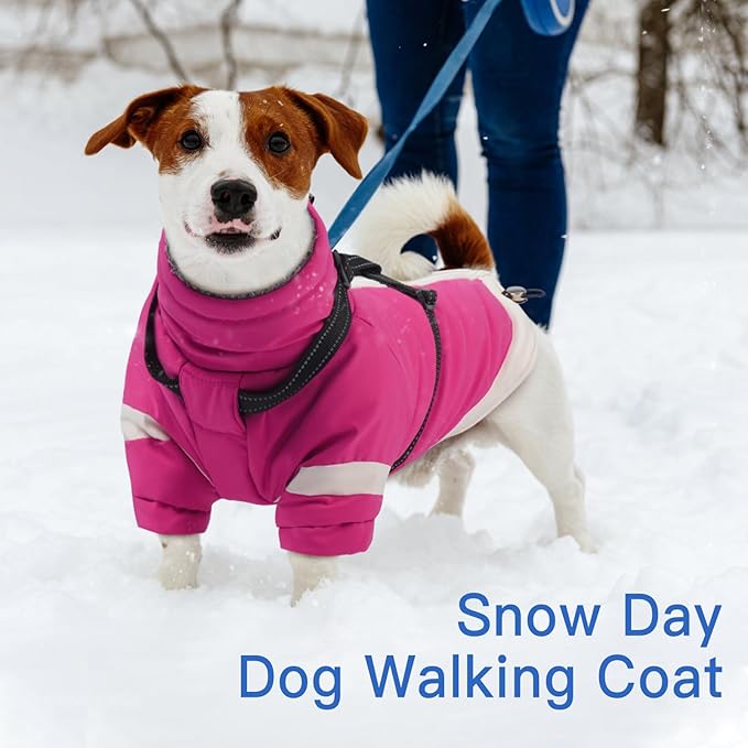 Turtleneck Dog Coat with Harness Built in - S,Soft Warm Lining | Adjustable Reflective Harness Coats for Small Dogs,Snow Day Water-Repellent,Windproof & Cold-Resistant Jacket (Rosered)