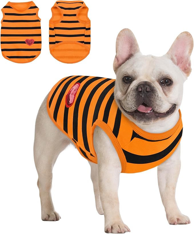 Queenmore Small Dog Shirt,Soft Breathable Dog Shirt for Dogs Cats Boy Girl,Pet Clothes for All Season,Breathable Lightweight Pet Tshirt for Frenchie, Dachshund, Yorkie