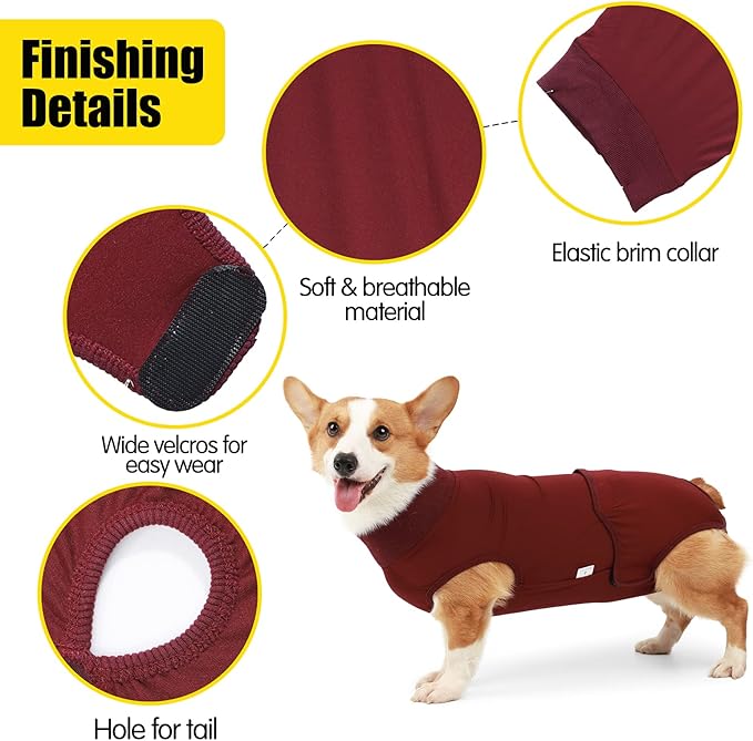 HEYWEAN Full Body Dog Diaper with a Puppy Nappies Physiological Dog Surgery Recovery Suit for Male Female Dogs