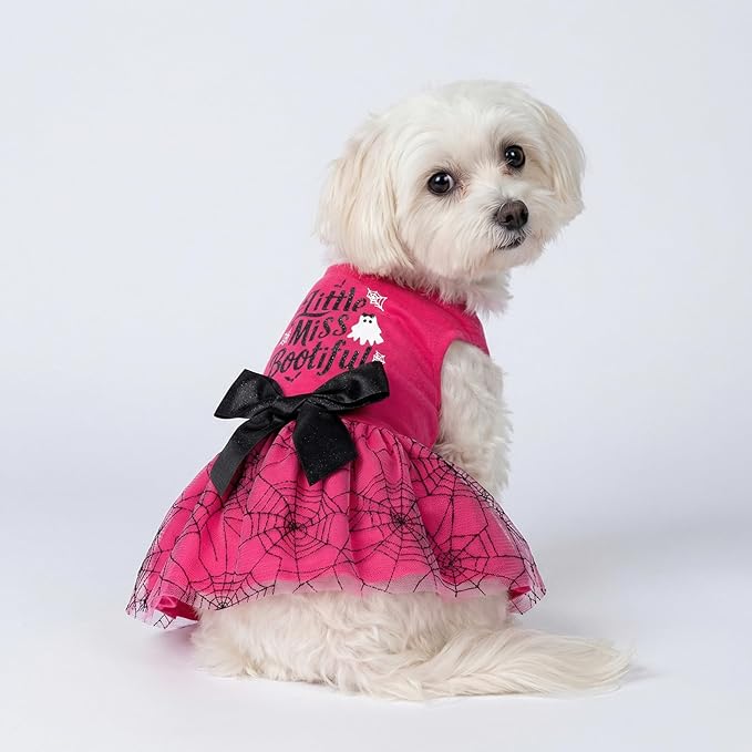 Fitwarm Little Miss Bootiful Halloween Dog Dress, Funny Costumes for Small Dogs Girl, Pet Outfit, Black, Hot Pink, XS