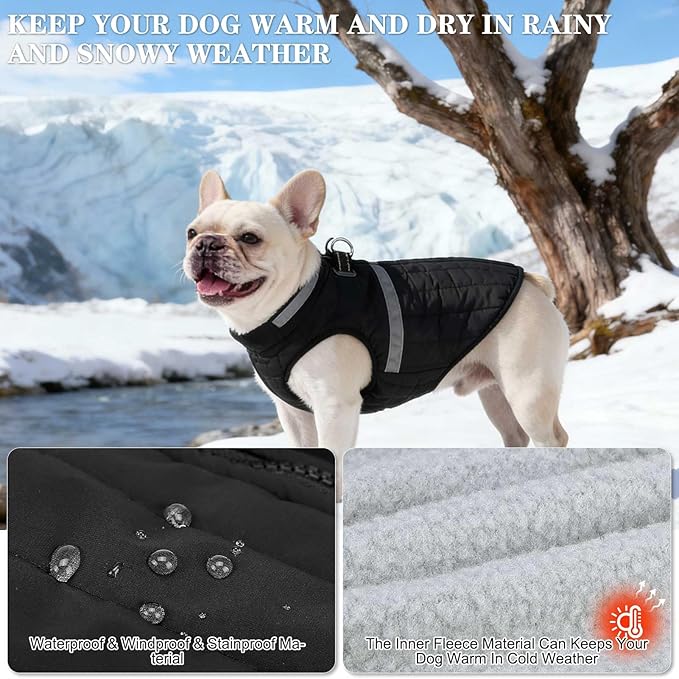 EXPAWLORER Dog Winter Coat Jacket, Thick Warm Waterproof Reflective Puppy Snowsuit with Harness Buit in, Pet Fleece Vest Soft Turtleneck with Zipper Cold Weather for Small Medium Dogs - Black, L
