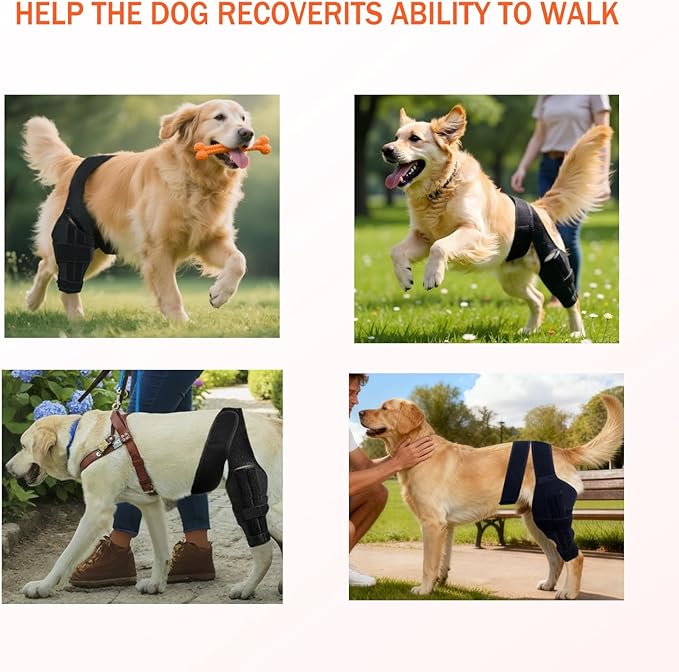 Dog Knee Support for Cruciate Injury – Flexible Stabilizer with Adjustable Straps, Breathable Neoprene, 4-Leg Universal Fit (Front/Hind, Left/Right), Ideal for Post-Op Healing (S)