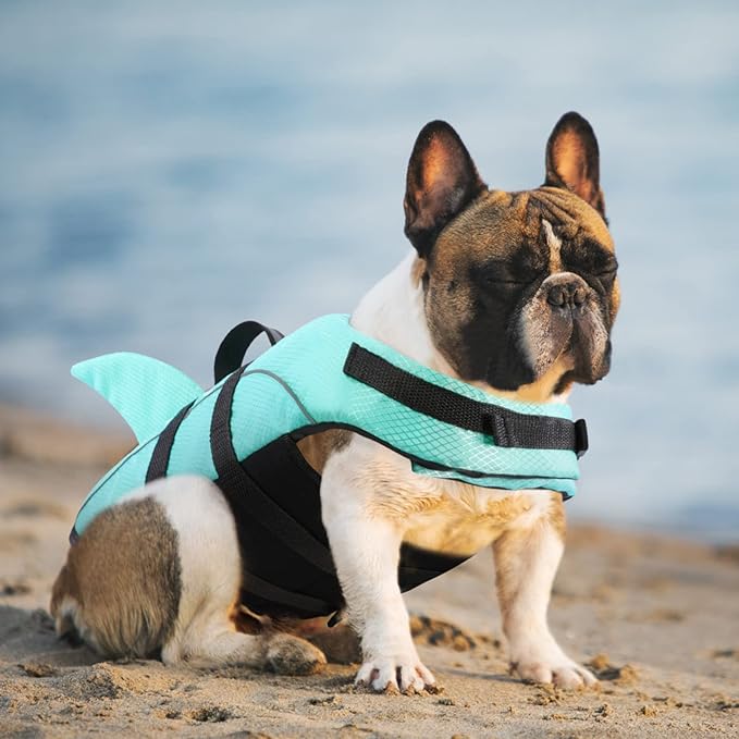 Queenmore Small Dog Shark Life Jacket,Dog Life Vest for Swimming Boating Kayaking,High Buoyancy Puppy Dog Life Preserver,Reflective Light Dog Lifesaver with Strong Rescue Handle (Light Blue,S)