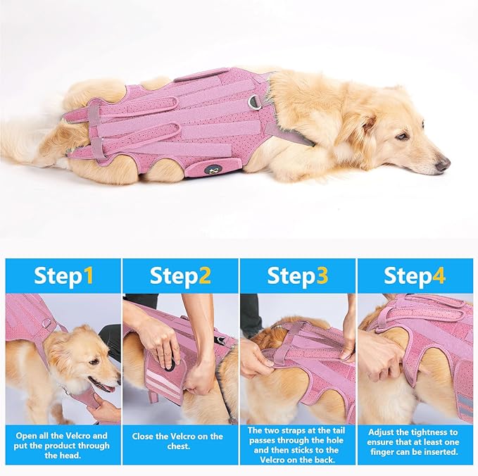 Coodeo Dog Back Brace for Dogs Arthritis, Pet Back Bracer for IVDD, Back Protector Helps Pain Relief, Surgical Recovery and Rehabilitation, Dogs Back Disease Prevention. (Pink,XX-Large)