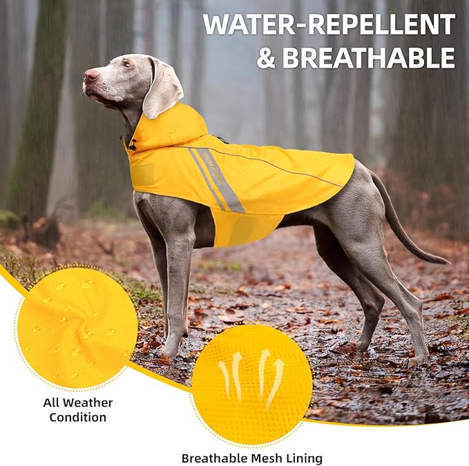 VIVAGLORY Wetoff Dog Raincoat, Rain Coat for Dog All Seasons Adventure, Rain Jacket with Harness Hole & Hood, Reflective Lightweight Waterproof for Doggy & Puppy, M, Yellow