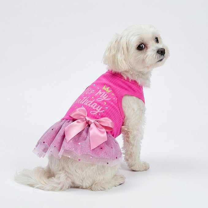 Fitwarm It's My Birthday Dog Dress - Pink Bowknot Dog Clothes for Small Female Puppy, XXS