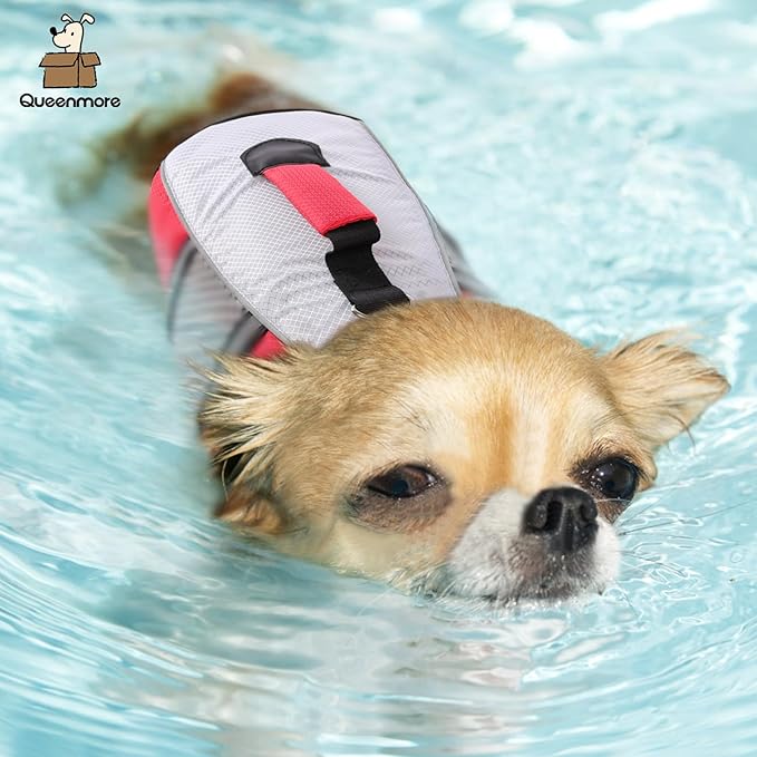 Queenmore Dog Life Jacket Swimming Vest Small Medium Dogs Neoprene Life Vest Lightweight Reflective Dog Lifesaver for Boating Kayaking Red,S