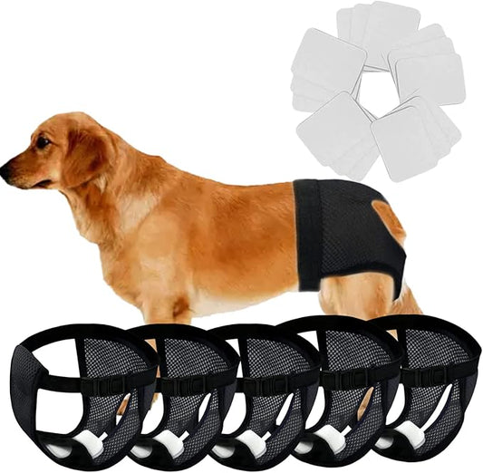 Every Pet Reusable Diapers with 3 Replace Diaper,Breathable Mesh Washable Dogs Sanitary Pads,Menstruation Diapers Panties Adjustable Sanitary Briefs for Small Medium and Large Dogs(5PCS Black,Large)