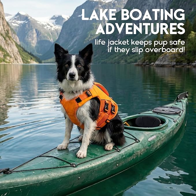 ASENKU Dog Life Jacket, High-Buoyancy Reflective Dog Swimming Vest with Durable Handles for Small/Medium/Large Dogs - Pool, Beach, Boating (Orange, XL)