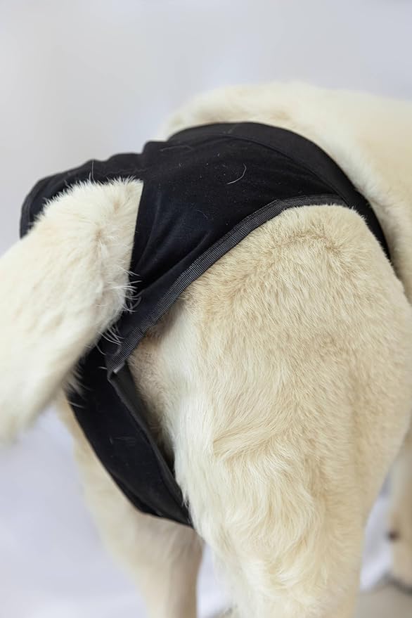 Reusable Dog Diapers with 3 Replace Diaper, Female Dog Heat Cycle Reusable Diapers Adjustable Pads for Dogs in Heat Black M